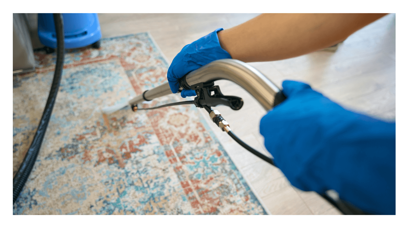 Carpet Cleaning by the Focus Cleaning team