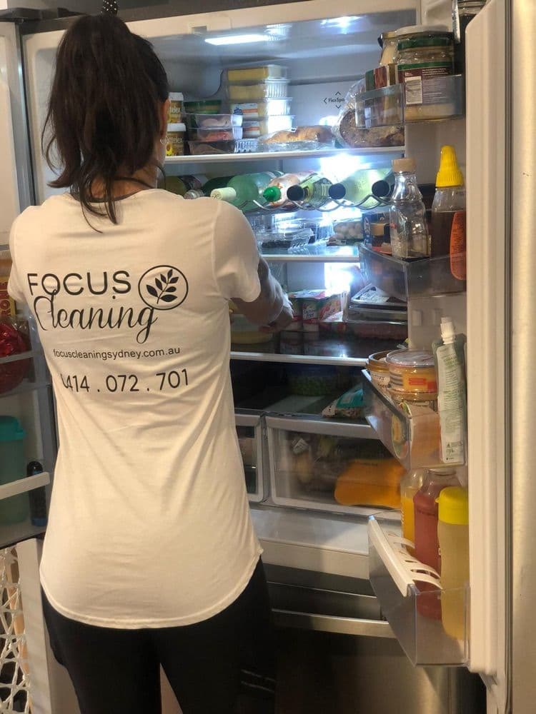 Focus cleaner cleaning inside a fridge