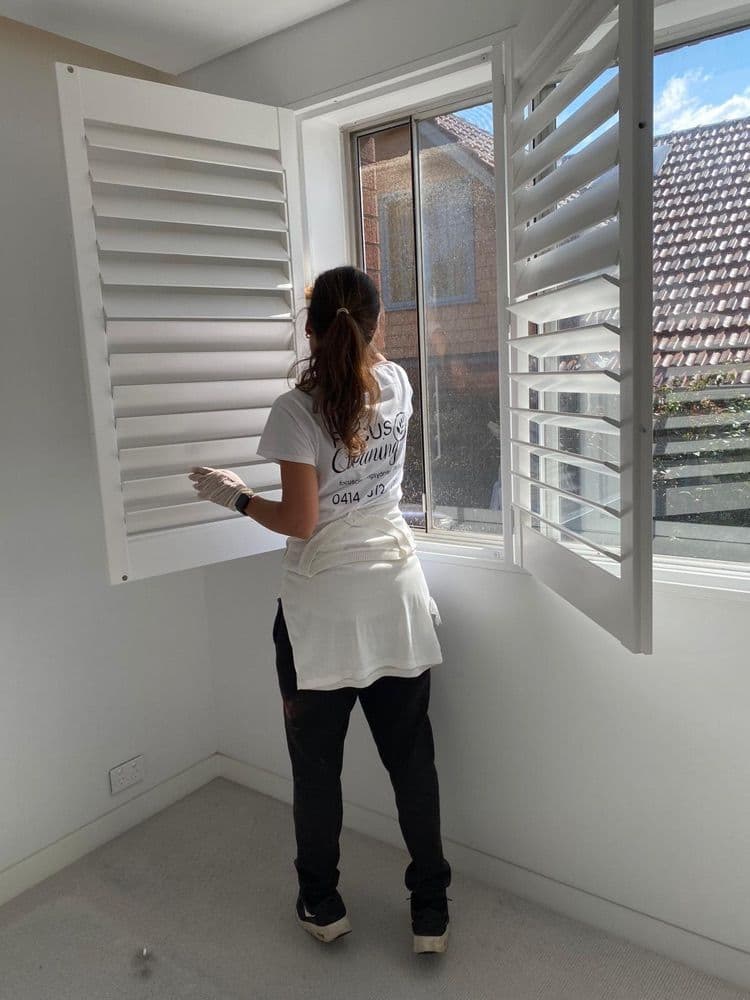 Focus cleaner cleaning plantation shutters